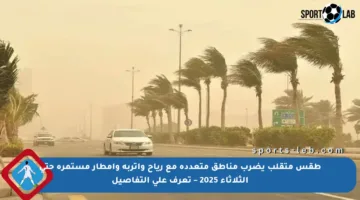 طقس متقلب يضرب مناطق متعددة مع رياح وأتربة وأمطار مستمرة حتى الثلاثاء 2025 – تعرف على التفاصيل